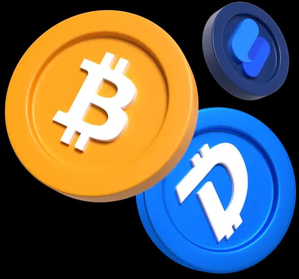 info.category2 preview